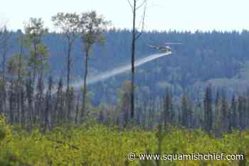 Letter writer alerts Sea to Sky residents to herbicide spray - Squamish Chief