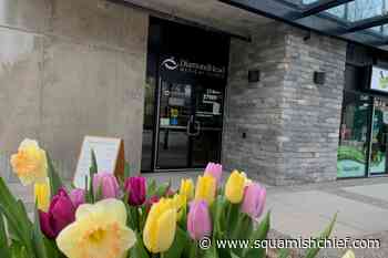 Are there enough family doctors in Squamish? - Squamish Chief