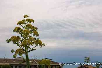 Meteo Weekend Messina: nuvole dal nord Africa e rischio di qualche pioggia il 1 maggio VIDEO - Tempo Stretto