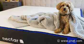 Nectar's Flash Sale Offers 25% Off Everything Sitewide -- Today Only     - CNET