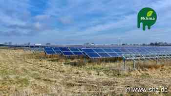 Erneuerbare Energien: Sollen in Tornesch Solarparks auf freien Flächen gebaut werden? | shz.de - shz.de