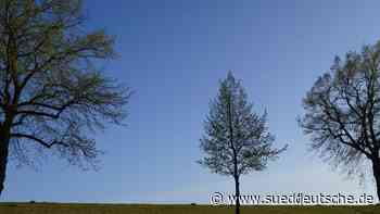 DWD: Viel Sonne und wenig Regen im April im Norden - Süddeutsche Zeitung - SZ.de
