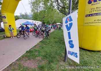 Bella partecipazione alla prima CiclAvis di Gavirate - varesenews.it