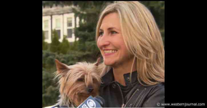 Dog Missing for 11 Years Finally Makes It Home Just in Time to Comfort Grieving Family