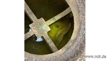 Hardegsen: Zeuge vermutet Mensch in Zisterne und ruft Polizei - NDR.de