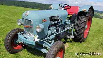 Polizei sucht Täter: Oldtimer-Diebe krallen sich „Königstiger“ - BILD