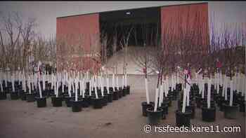 Met Council, cities team up to giveaway trees to plant in your yard
