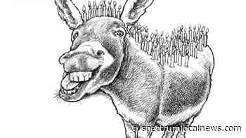 Eeyore's annual bash is Saturday in Austin - Spectrum News