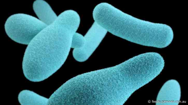 A Washington Man Was Likely Killed by Botulism From Food He Canned at Home