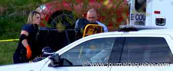 Un canard permet aux policiers de résoudre une affaire de meurtre