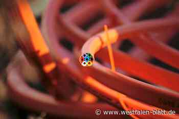 Internet-Störung im Kreis Höxter offenbar doch noch nicht komplett behoben - Westfalen-Blatt