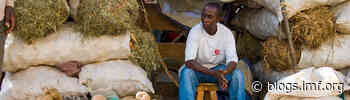 Africa Faces New Shock as War Raises Food and Fuel Costs - International Monetary Fund