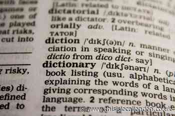 What is a Polyglot?- City and Islington ShuTing Su