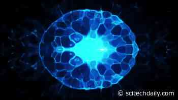 New and Surprising Duality Discovered in Theoretical Particle Physics