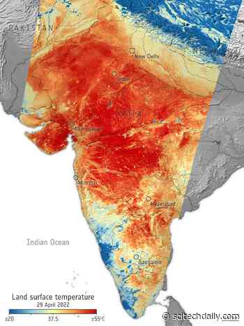 Prolonged Heatwave Scorches India