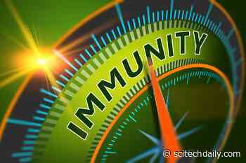 5 Ways To Boost Your Immune System