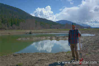 Nature Conservancy of Canada leads restoration project on Creston Valley farmland - Nelson Star