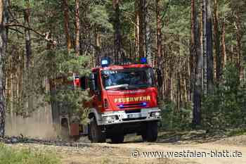 Waldbrände in Goch und Lohmar gelöscht - Westfalen-Blatt