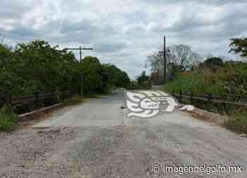Reclaman rehabilitación de carretera Misantla-Martínez - Imagen del Golfo