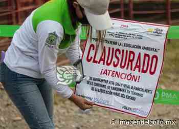 Procuraduría del Medio Ambiente del Estado clausura establo en Misantla - Imagen del Golfo