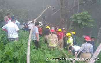 Misantla: 2 muertos y 2 heridos al caer en barranco - Diario de Xalapa