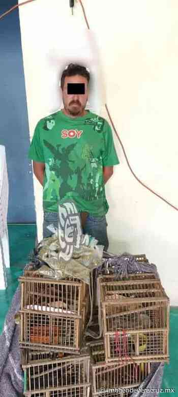 Por transportar enervantes, capturan al ´Fello´ en Misantla - Imagen de Veracruz