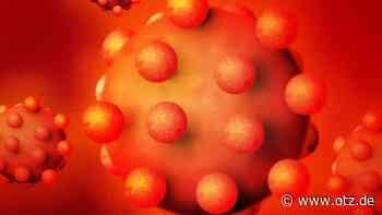 Fast 30.000 Fälle seit Pandemiebeginn im Saale-Holzland - Ostthüringer Zeitung