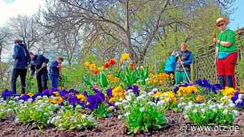 Ein Gartenjahr lang sich ausprobieren in Dornburg - Ostthüringer Zeitung