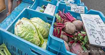 Wekelijkse markt zet mama's in de bloemetjes | Sint-Lievens-Houtem | hln.be - Het Laatste Nieuws