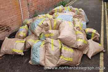 How routine traffic stop brought Kettering cannabis factory gardener to justice - Northamptonshire Telegraph