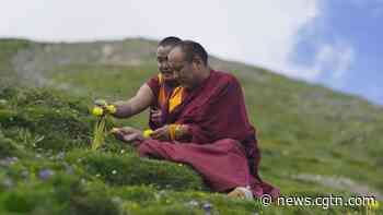 'Where The Mighty Rivers Begin' Ep 4: Rhythms of Life - CGTN
