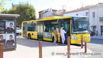 Frontignan : circulation difficile et déviation de lignes de bus quai Voltaire à partir du 2 mai - Hérault Tribune