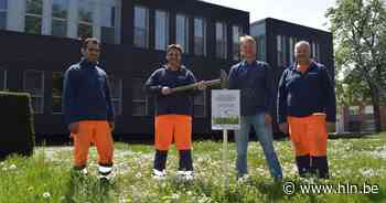 Laat het gras groeien tijdens de 'Maai Mei Niet-maand' - Het Laatste Nieuws