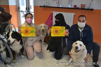 Al centro socio-polifunzionale per disabili "Girasole" arriva la pet therapy, l'iniziativa dell'Enpa... - Positano Notizie
