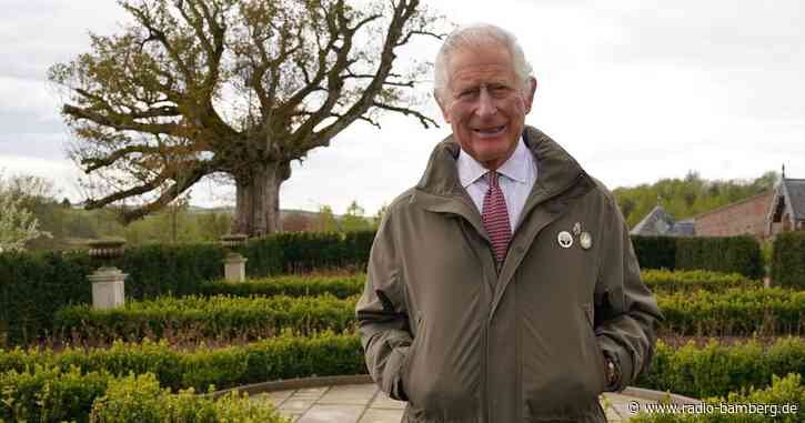 Prinz Charles ruft zur Auffrischung alter Wälder auf