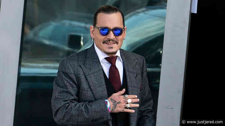 Johnny Depp Laughed in Court When His Genitals Were Referenced - Watch the Moment