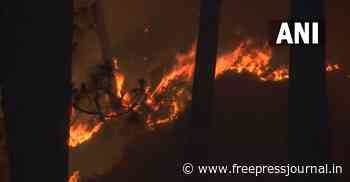 Jammu and Kashmir: Forest fire in Udhampur area continues to rage, villagers fear it might enter residential - Free Press Journal