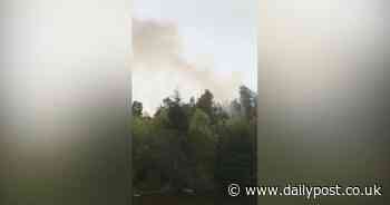 LIVE: Firefighters to battle Corwen forest blaze all night as fire spreads across a mile - North Wales Live