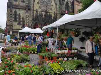 Baltimore Weekend Events: Maryland Film Festival, Flower Mart, Taco Festival and more - Baltimore Fishbowl