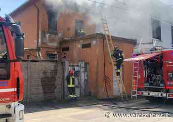 Incendio in un'abitazione di Gallarate, salvi i cani liberati in tempo - varesenews.it