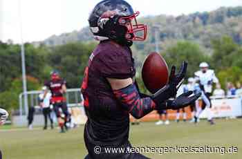 American Football - Neues Revier für die Alligators - Leonberger Kreiszeitung