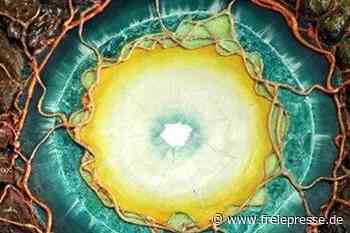 Nachhaltig in die Kunstgarten-Saison - freiepresse.de