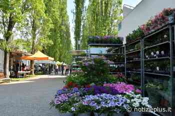 Questo fine settimana il “Bissuola Spring Fest-Venice Flower Power” - Notizie Plus