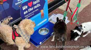New 'pup-friendly' provisions rolled out across more than 130 Northern stations