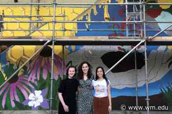 Dimensions of conservation: Augmented reality 3D mural to be revealed at Swem Library - William & Mary News