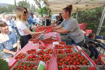 5 raisons d’aller à la fête de la fraise à Carros ce dimanche