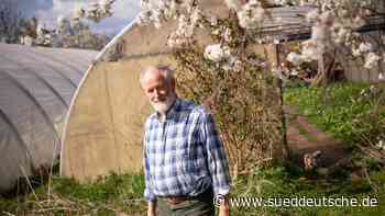 Agrar - Berlin - Zahl solidarischer Landwirtschaften stark gewachsen - Wirtschaft - Süddeutsche Zeitung - SZ.de