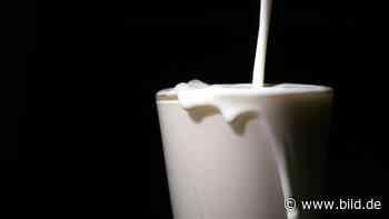Preise knallen um ein Viertel rauf - Milch-Schock! - BILD