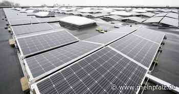 Solardach: Sehr wenige Gebäude des Bundes mit Photovoltaik - Wirtschaft - Rheinpfalz.de