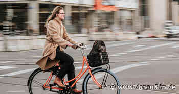 Am 1. Mai startet das STADTRADELN in Ulm! - DONAU 3 FM